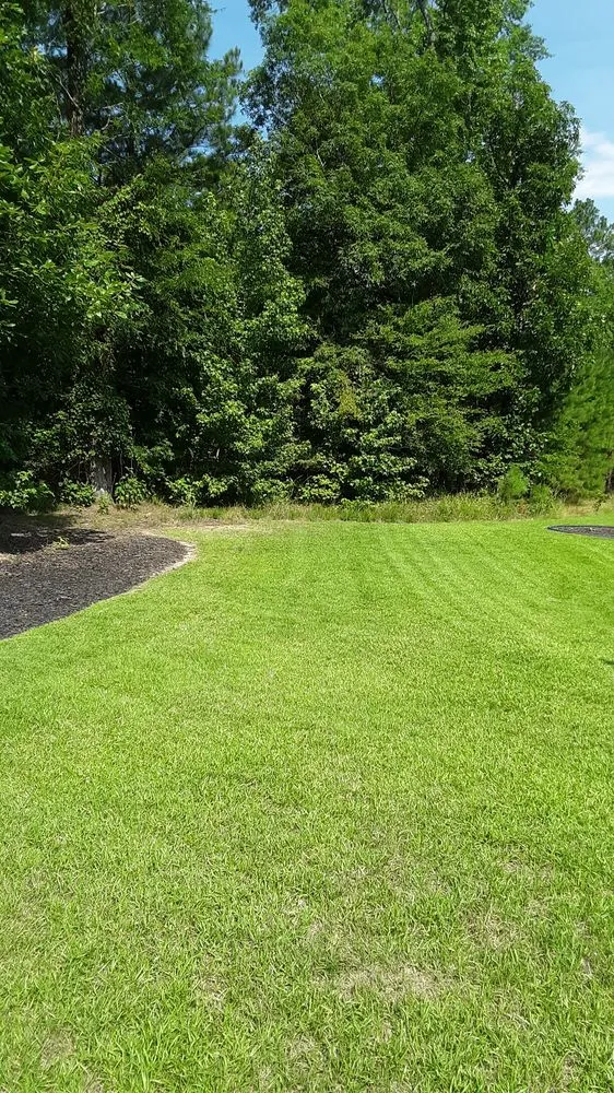 Reliable yard cleanup service near you in Hephzibah, GA by Kohn's Lawn Care & More