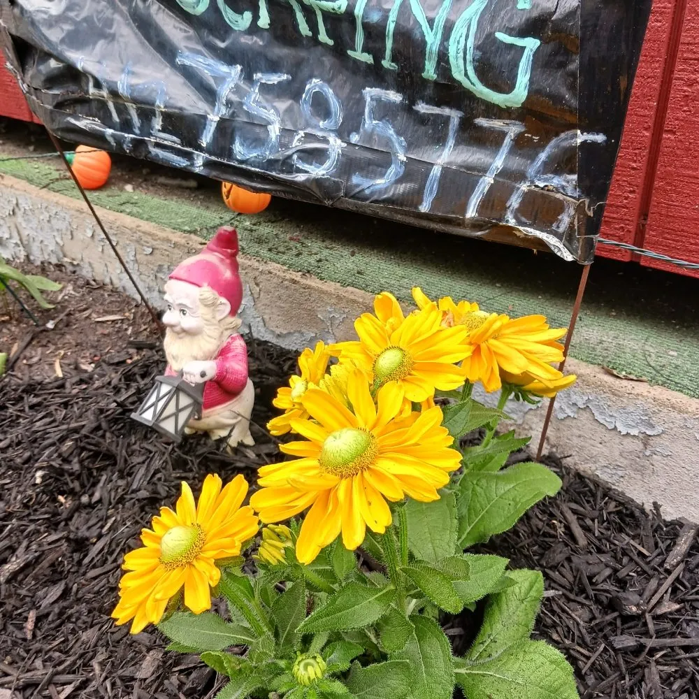 Top-rated garden landscaping experts serving Pittsburgh, PA - KOHR Lawncare & Landscaping