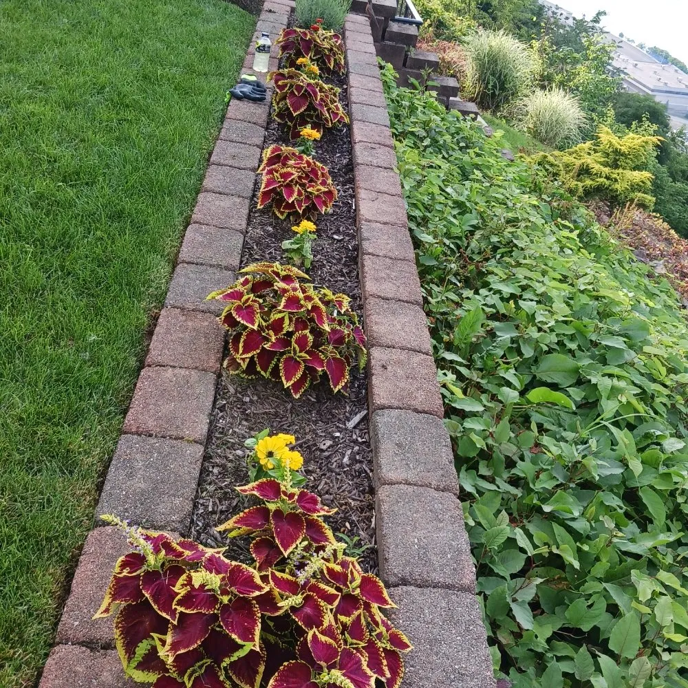 Custom landscape installation in Pittsburgh, PA by KOHR Lawncare & Landscaping