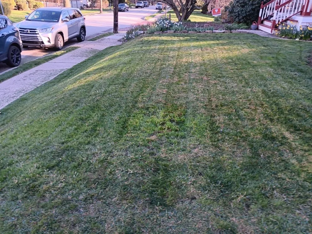 Reliable lawn mowing service in Pittsburgh, PA by KOHR Lawncare & Landscaping