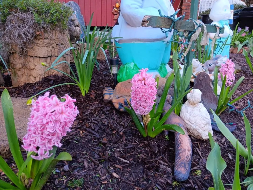 Trusted lawn care service in Pittsburgh, PA - KOHR Lawncare & Landscaping