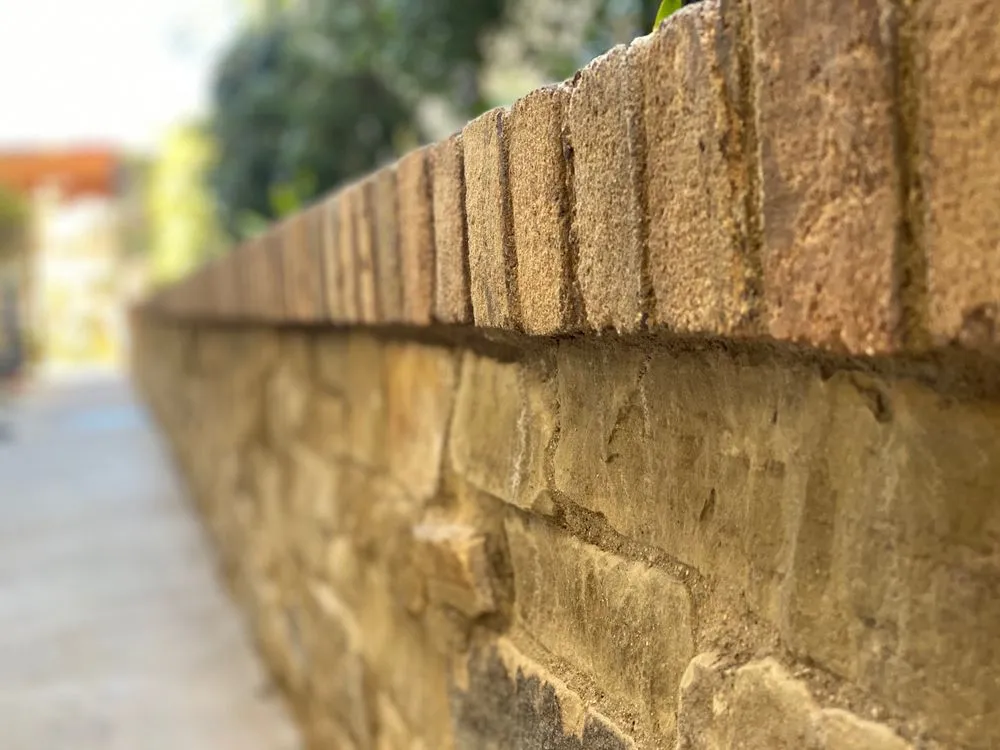 Professional yard maintenance experts serving Orange, CA - Koi Pros