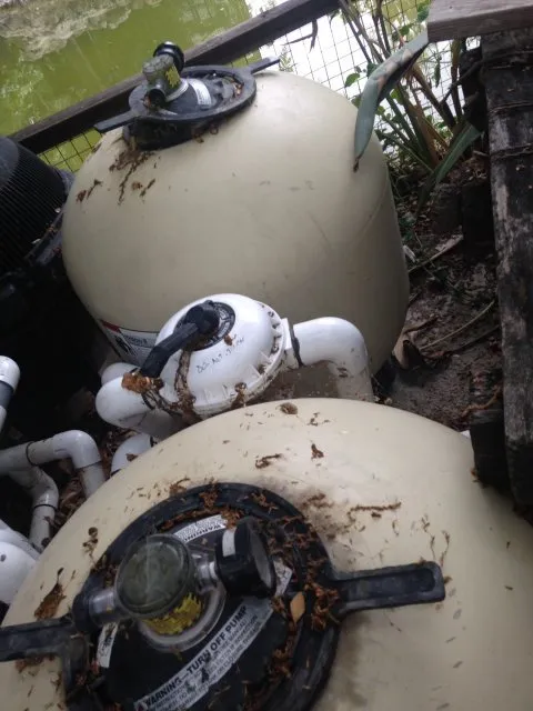 Custom landscape design experts serving Orange, CA - Koi Pros