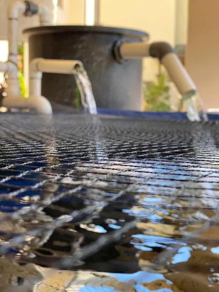 Trusted landscaping services in Orange, CA - Koi Pros