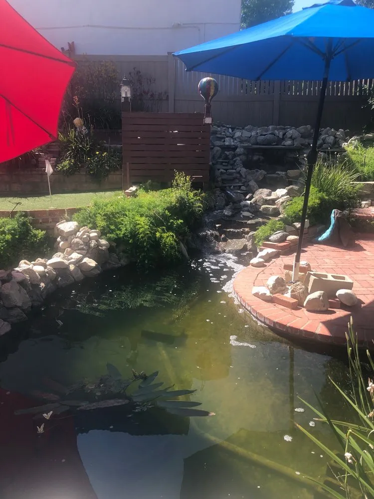 Local lawn care service in La Crescenta, CA by Koi Shui Aquatics