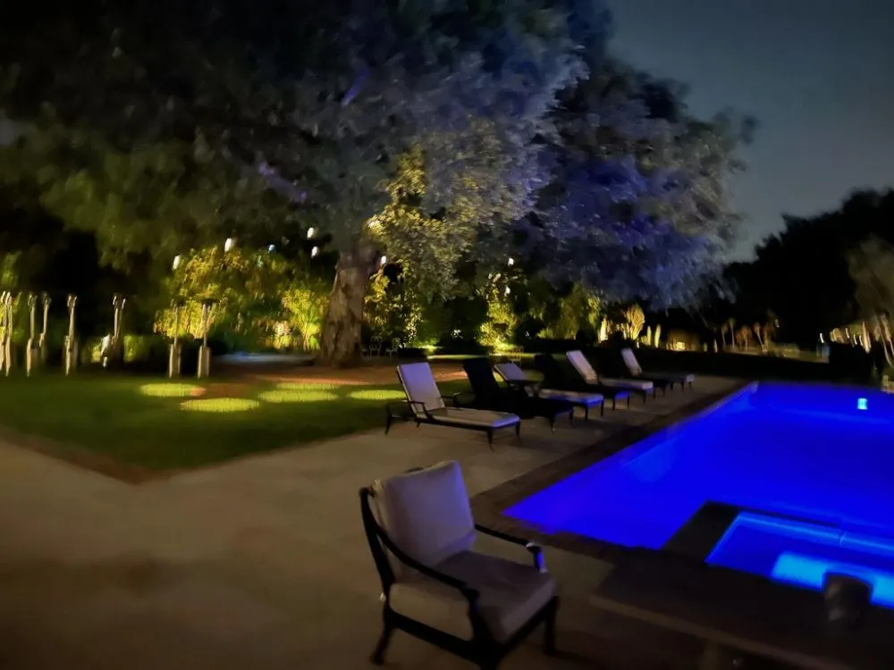 Top-rated yard maintenance in La Crescenta, CA - Koi Shui Aquatics
