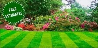 Reliable landscaping services with custom design across Lakeside, CA - Kokaila Lawn & Garden Services