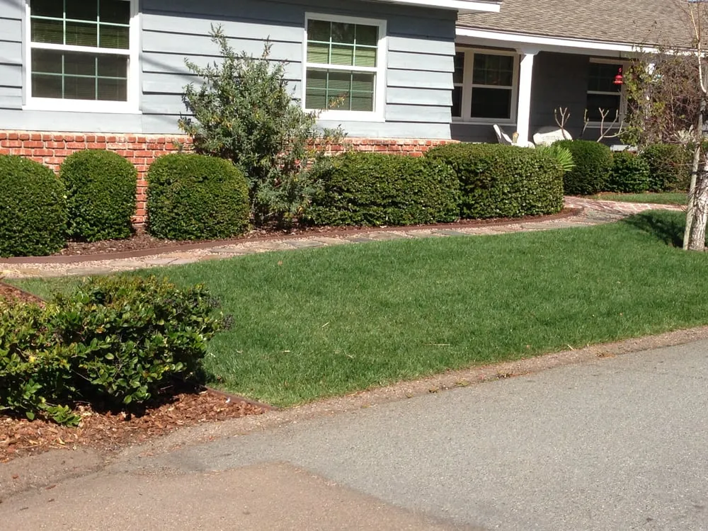Trusted yard maintenance experts serving Lakeside, CA - Kokaila Lawn & Garden Services