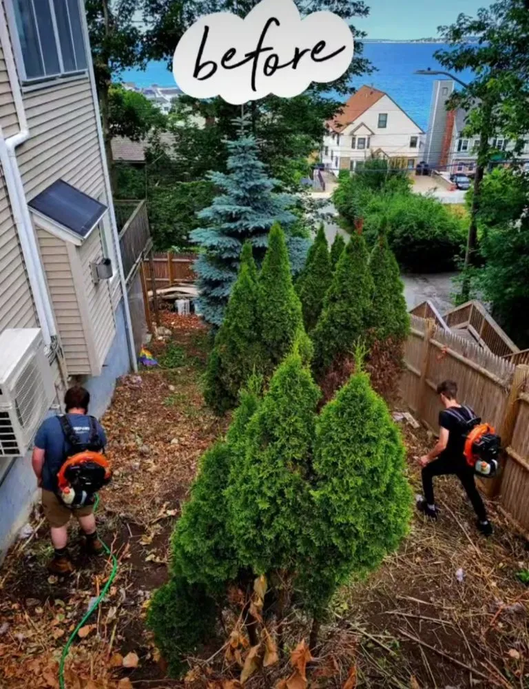 Reliable outdoor landscaping for year-round maintenance in Chelmsford, MA by Koko Cuts Landscaping