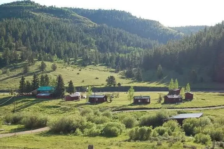Trusted lawn care service for beautiful yards in El Prado, NM by KoKo Palla Property Services