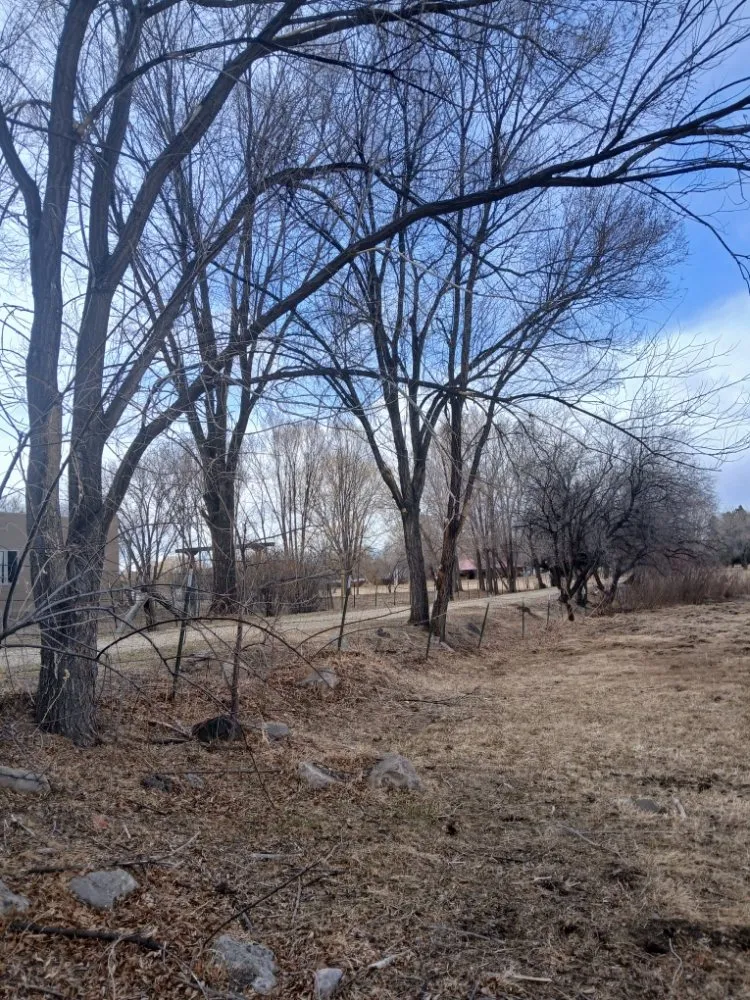 Local residential landscaping in El Prado, NM - KoKo Palla Property Services