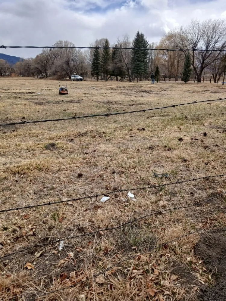 Top-rated yard cleanup service in El Prado, NM by KoKo Palla Property Services