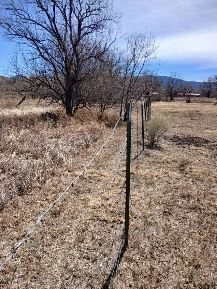Custom yard cleanup service near you across El Prado, NM - KoKo Palla Property Services