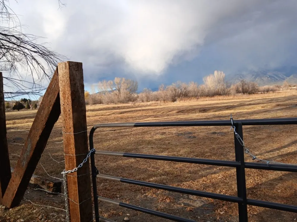 Local lawn mowing service in El Prado, NM by KoKo Palla Property Services