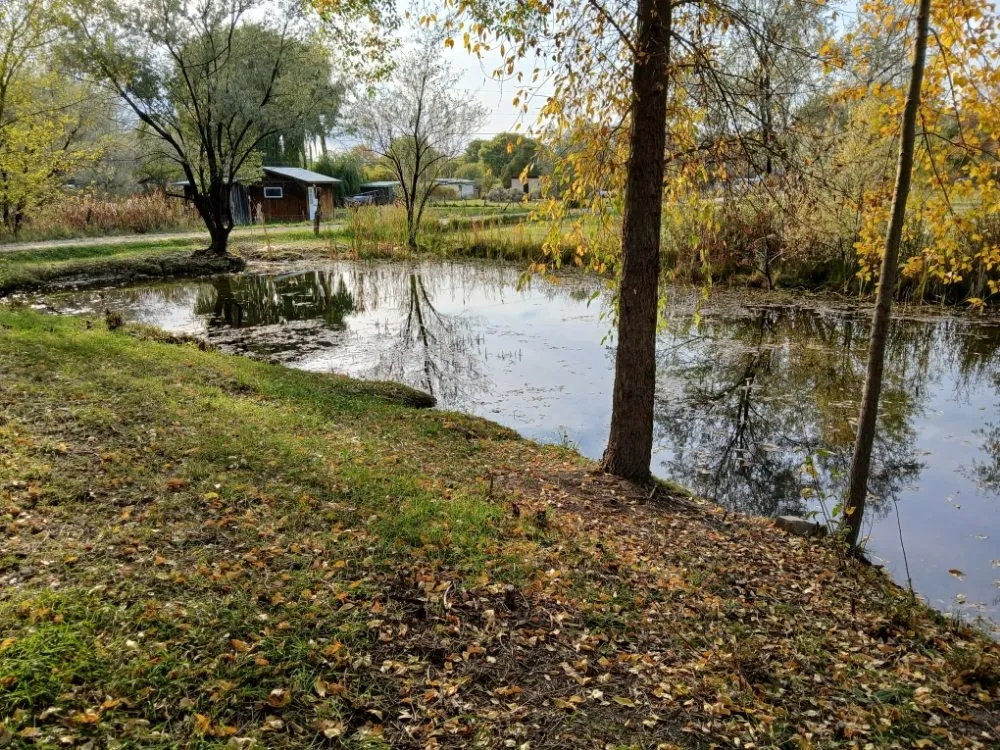 Affordable landscaping services with custom design in El Prado, NM by KoKo Palla Property Services