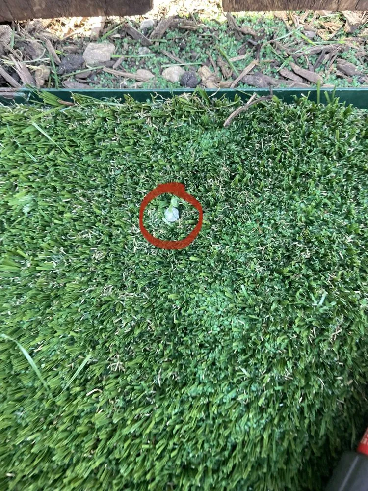 Affordable residential landscaping experts serving Euless, TX - Kokonut Construction