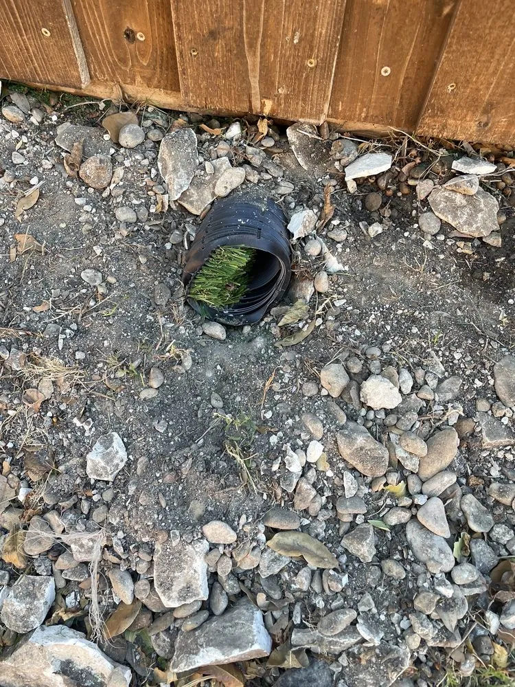 Top-rated yard cleanup service for outdoor upgrades across Euless, TX - Kokonut Construction