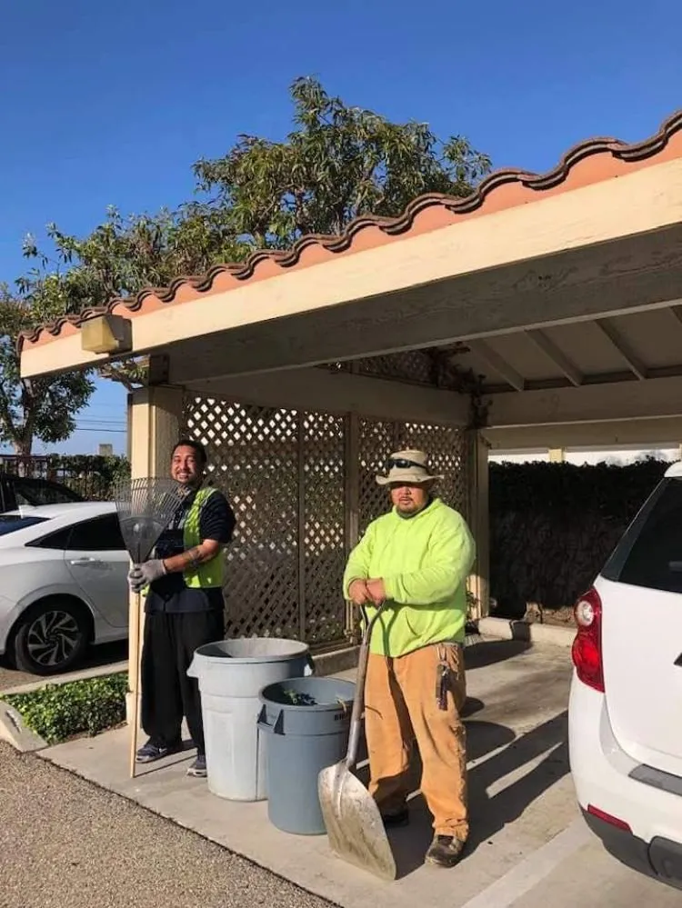 Expert landscape design in Downey, CA by Kokonut Lawn Care