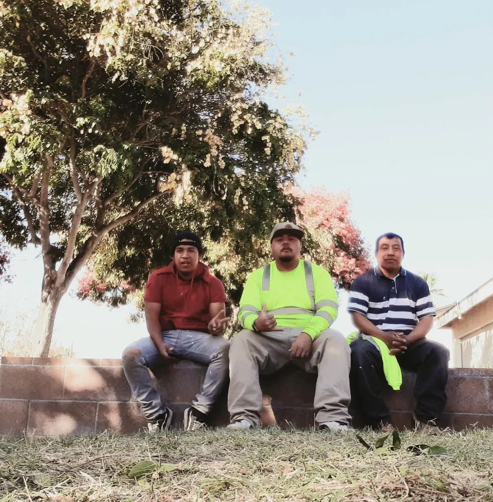 Top-rated landscape design in Downey, CA by Kokonut Lawn Care