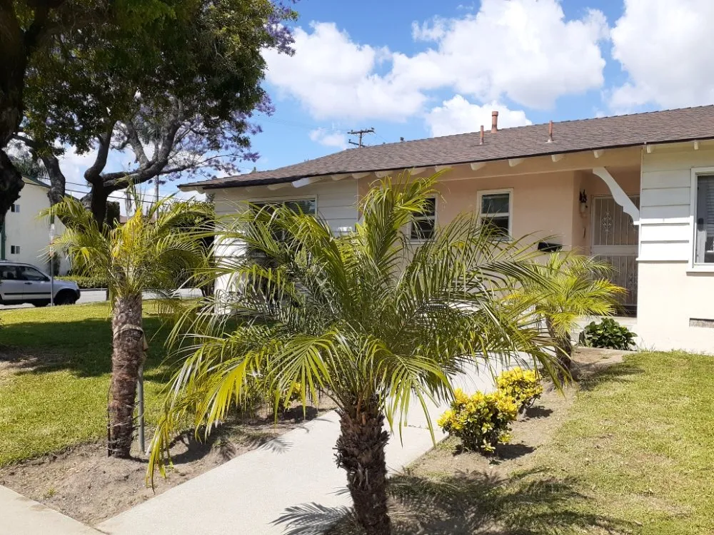 Local landscaping services with custom design across Downey, CA - Kokonut Lawn Care