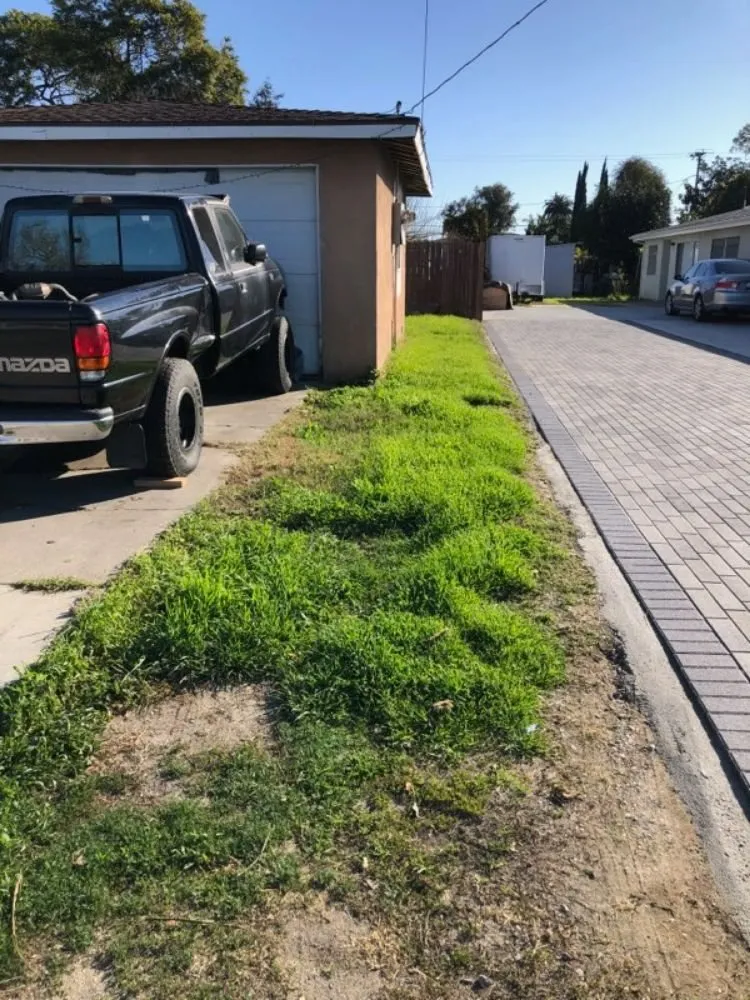 Custom landscaping services experts serving Downey, CA - Kokonut Lawn Care
