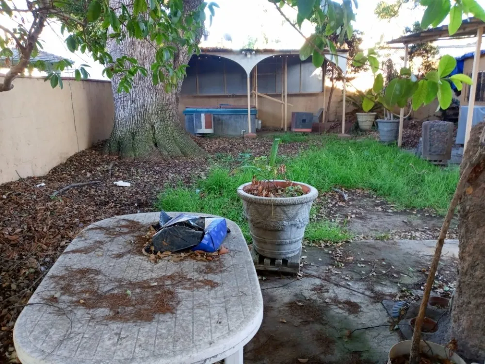 Local outdoor landscaping in Downey, CA by Kokonut Lawn Care