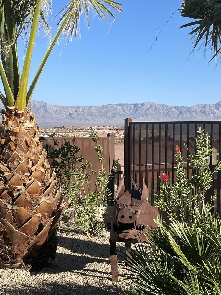 Professional landscape design in Mesquite, NV by Kokopelli Landscaping