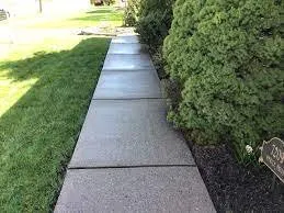 Professional yard cleanup service in Ewa Beach, HI by Kokua Yard Care