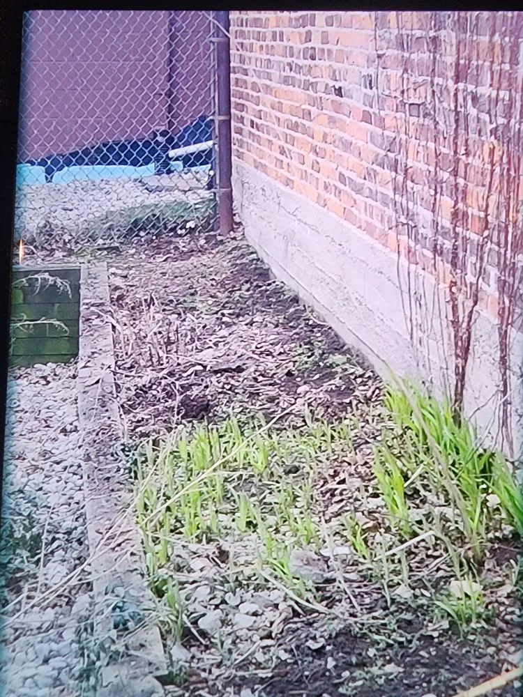 Reliable landscape installation in Fenton, MI - Kolar Creek Lawn Care And Landscaping Services