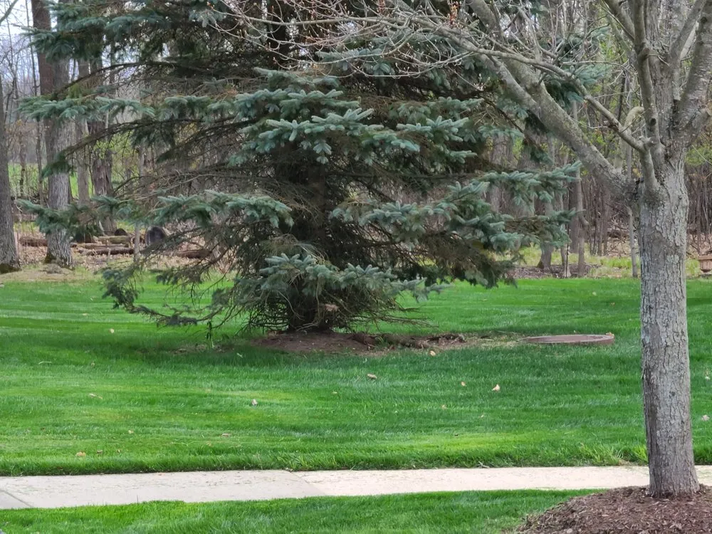Reliable landscaping services in Fenton, MI by Kolar Creek Lawn Care And Landscaping Services