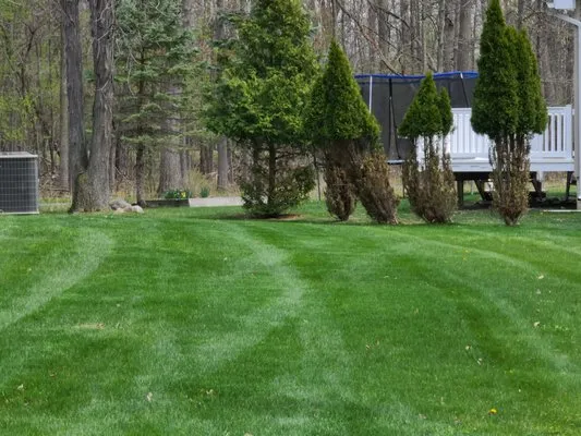 Kolar Creek Lawn Care And Landscaping Services