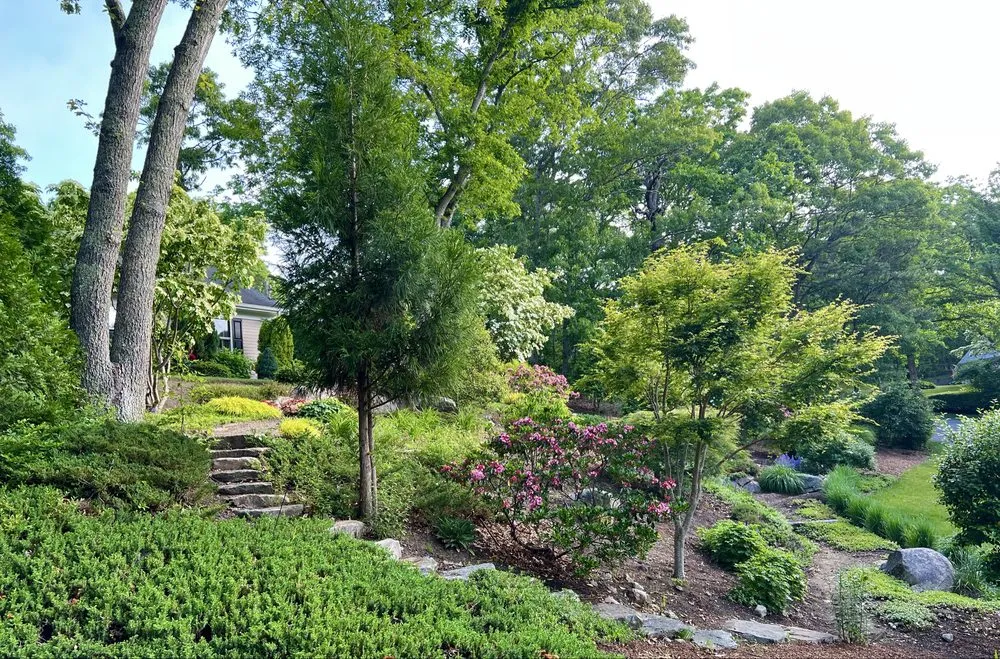 Professional yard maintenance in Sandwich, MA - Kolb Custom Land Services