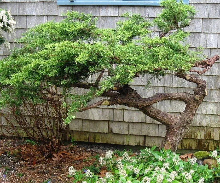 Affordable residential landscaping for homes across Sandwich, MA - Kolb Custom Land Services