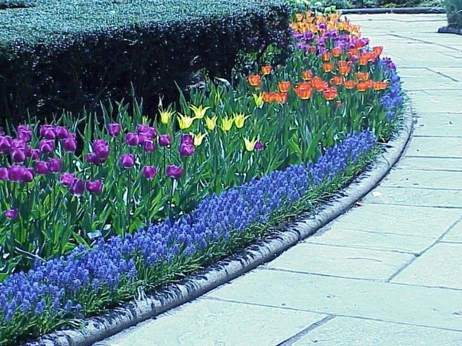 Expert yard maintenance near you in Sandwich, MA by Kolb Custom Land Services