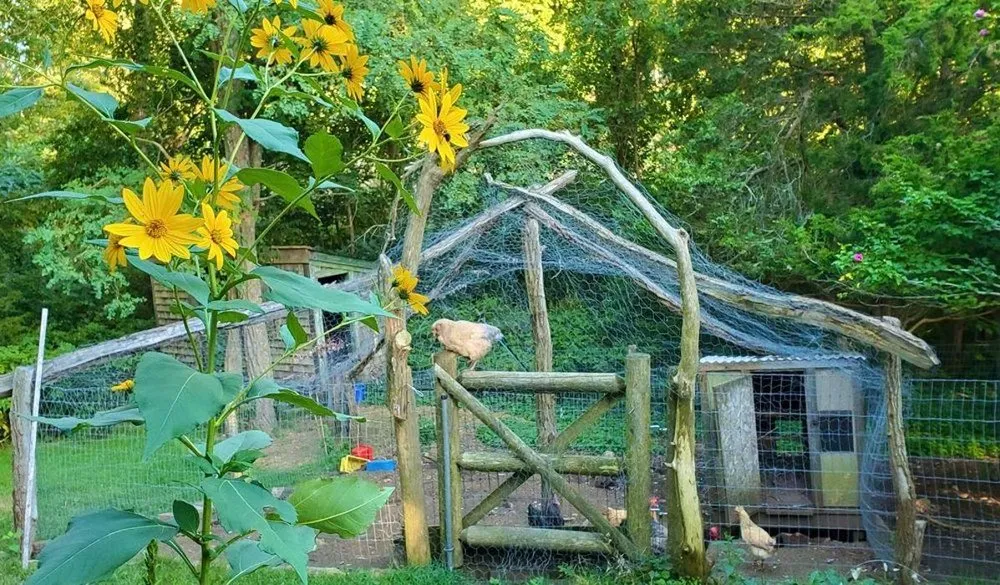 Custom outdoor landscaping for homes across Sandwich, MA - Kolb Custom Land Services