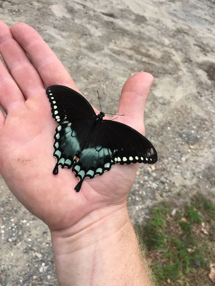 Local lawn mowing service with custom design across Sandwich, MA - Kolb Custom Land Services