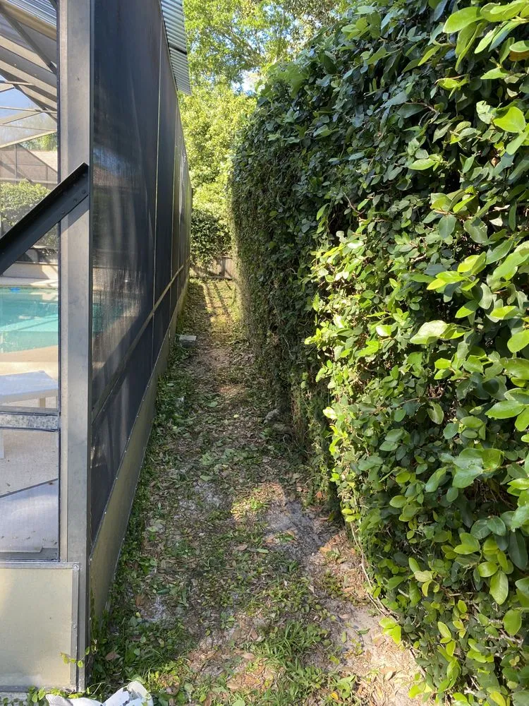 Trusted lawn care service experts serving Ormond Beach, FL - Kolb Maintenance