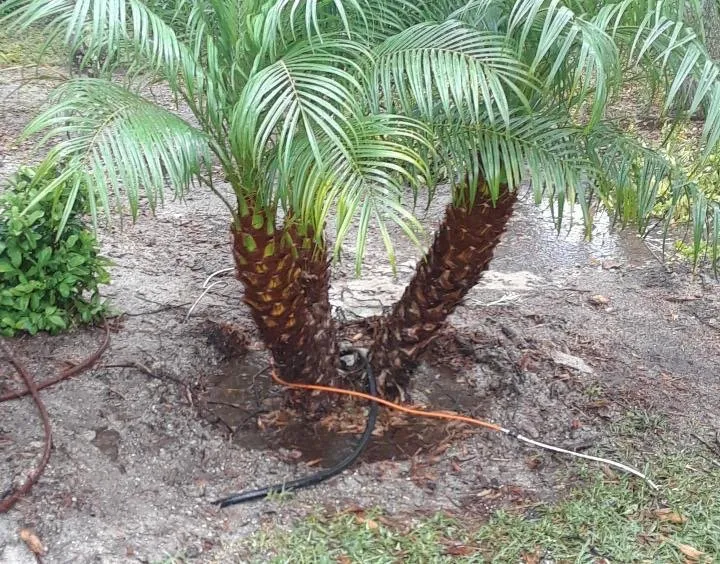 Affordable landscape design for beautiful yards in Ormond Beach, FL by Kolb Maintenance