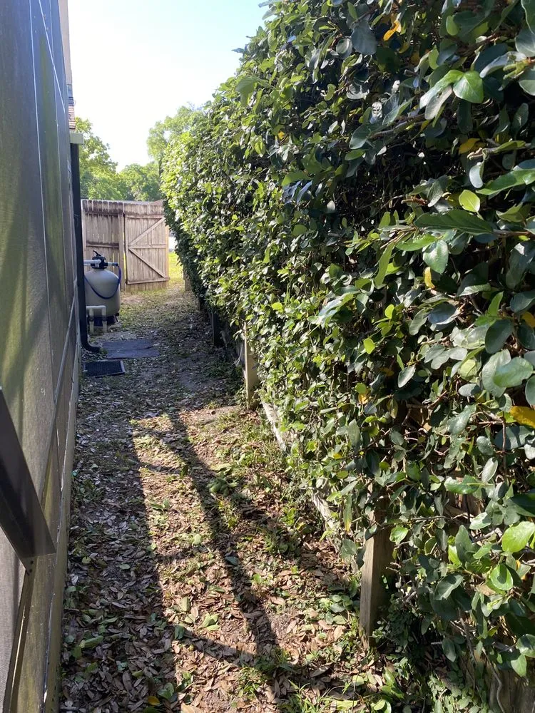 Top-rated landscape design for year-round maintenance in Ormond Beach, FL by Kolb Maintenance