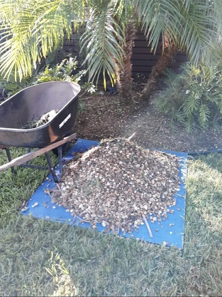 Expert landscape installation in Ormond Beach, FL by Kolb Maintenance