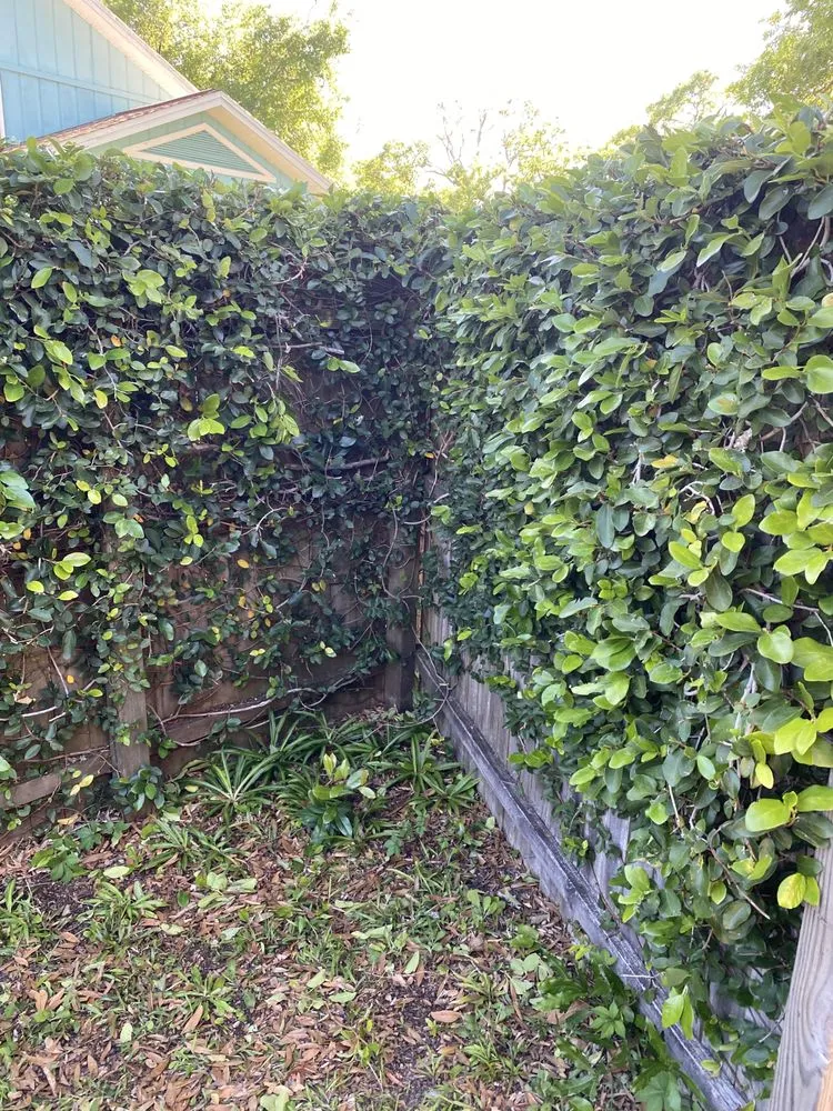 Professional yard cleanup service in Ormond Beach, FL by Kolb Maintenance