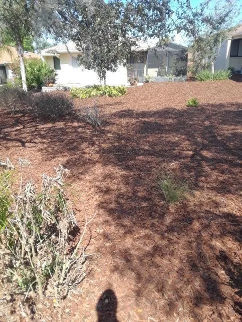 Top-rated lawn mowing service near you across Ormond Beach, FL - Kolb Maintenance