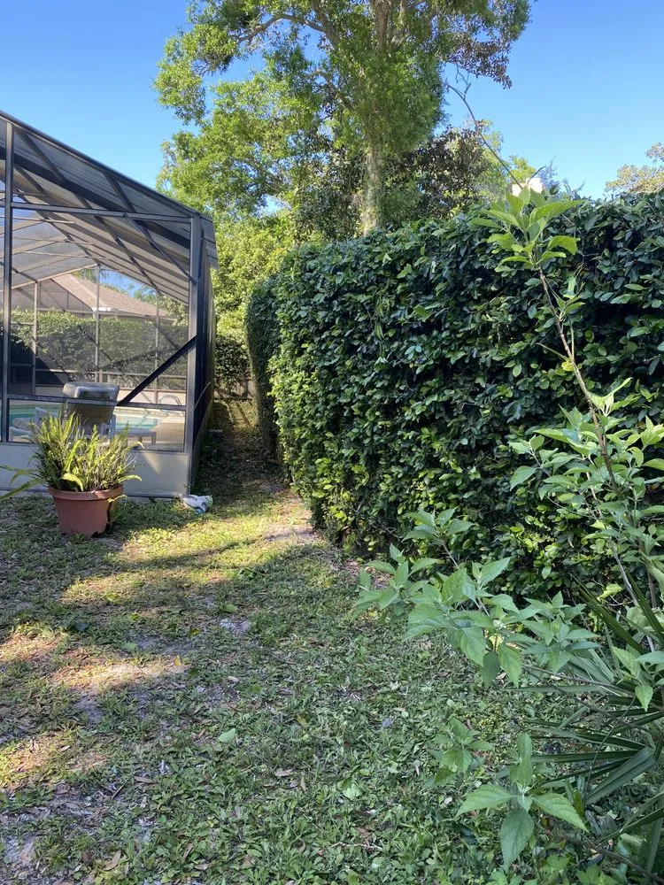 Affordable landscaping services in Ormond Beach, FL by Kolb Maintenance