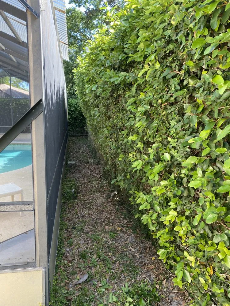 Expert lawn care service for year-round maintenance across Ormond Beach, FL - Kolb Maintenance