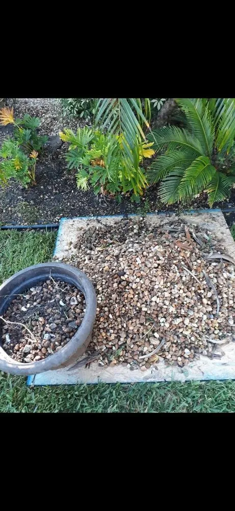 Local lawn care service in Ormond Beach, FL by Kolb Maintenance