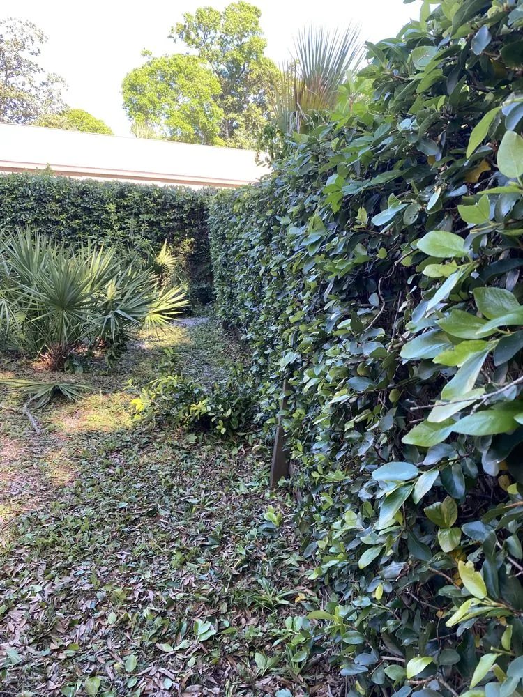 Local yard cleanup service for residential properties in Ormond Beach, FL by Kolb Maintenance