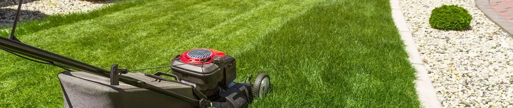 Reliable landscape design experts serving Riverside, RI - Kolissoua Property Services