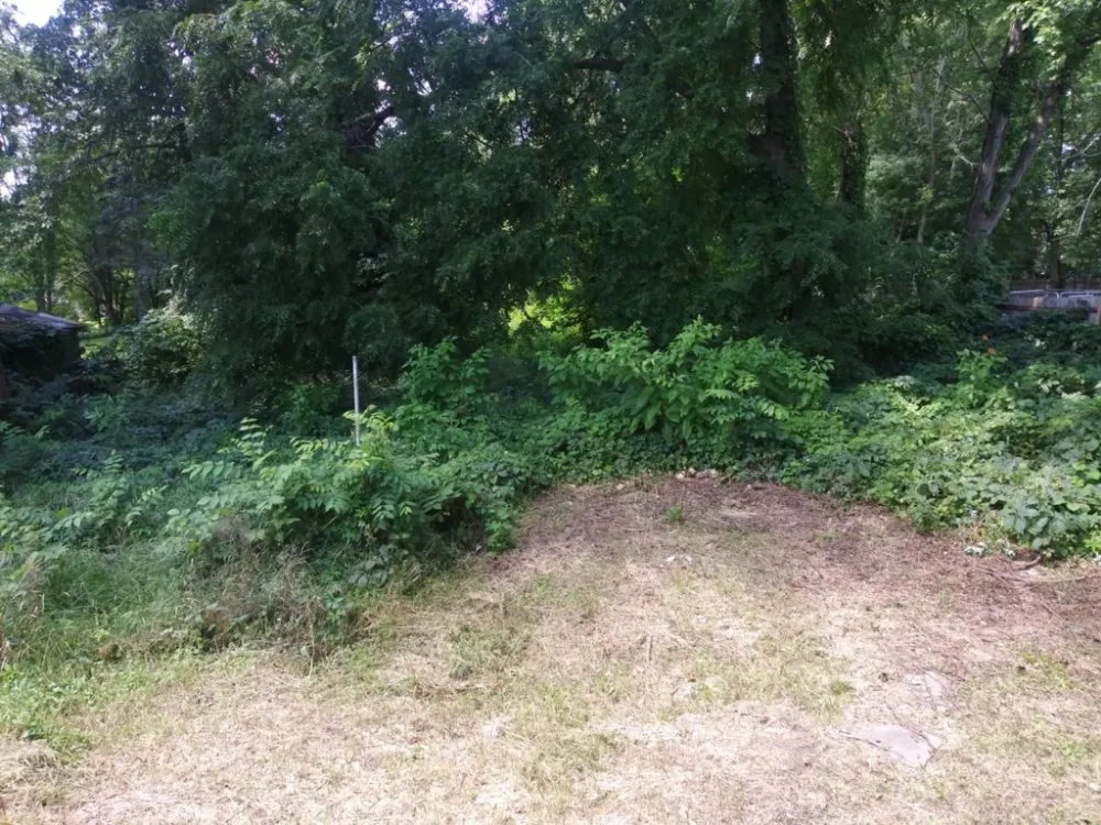 Professional lawn mowing service in Rockford, IL - Kolthoff General Labor