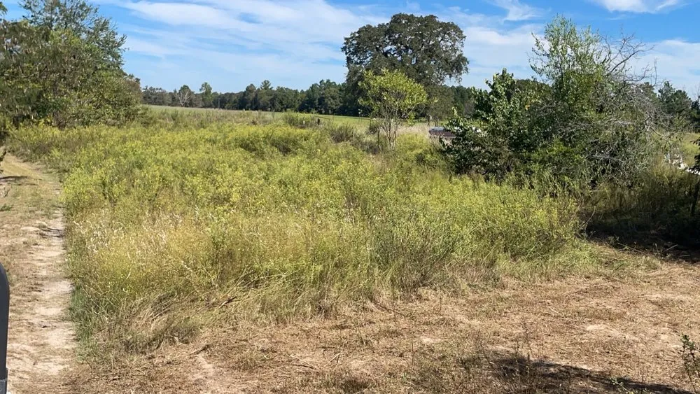 Trusted outdoor landscaping with custom design in Athens, TX by Kolton Lindsey Lawn Care