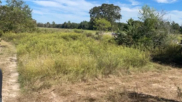 Kolton Lindsey Lawn Care Logo